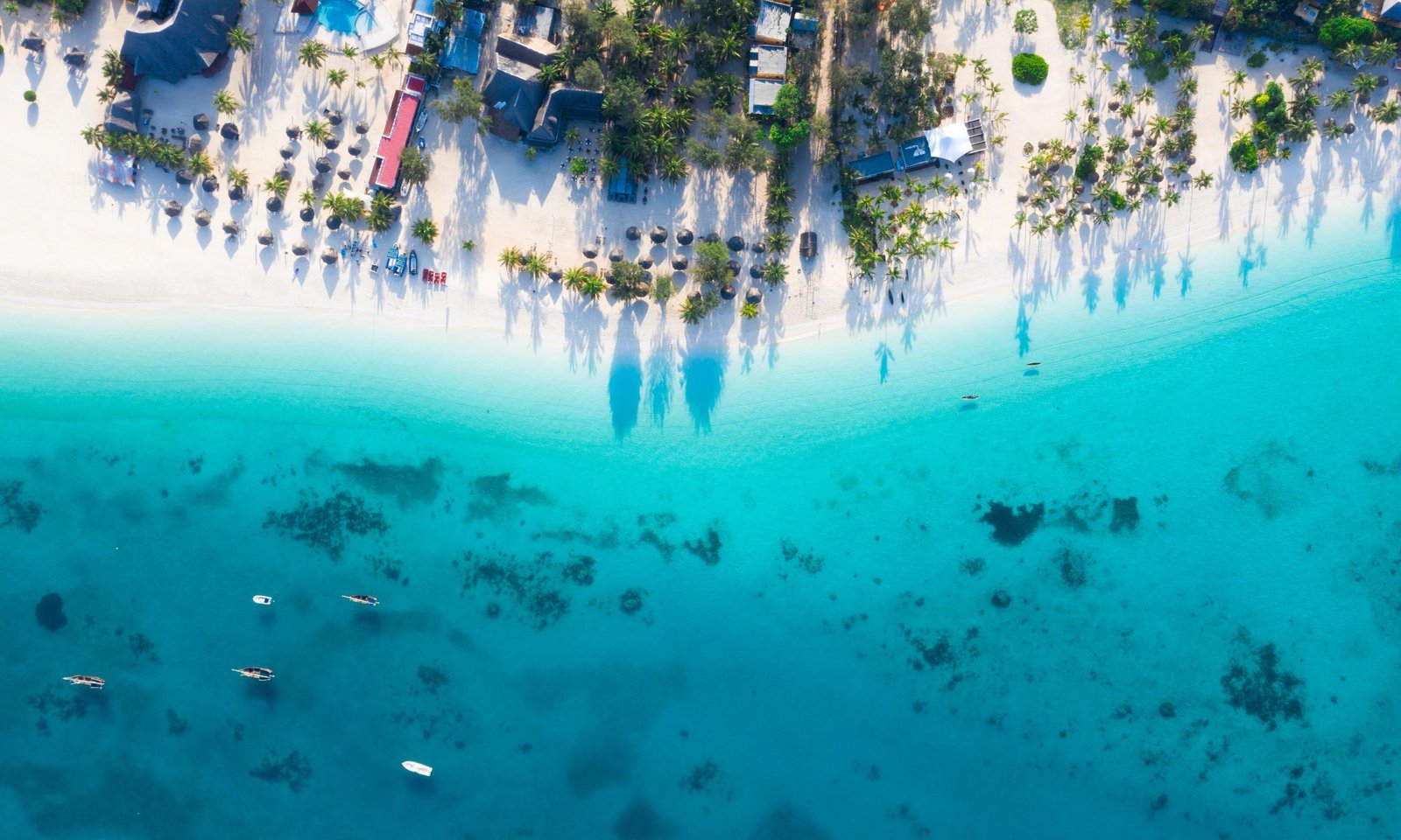 Mnemba Atoll Snorkeling